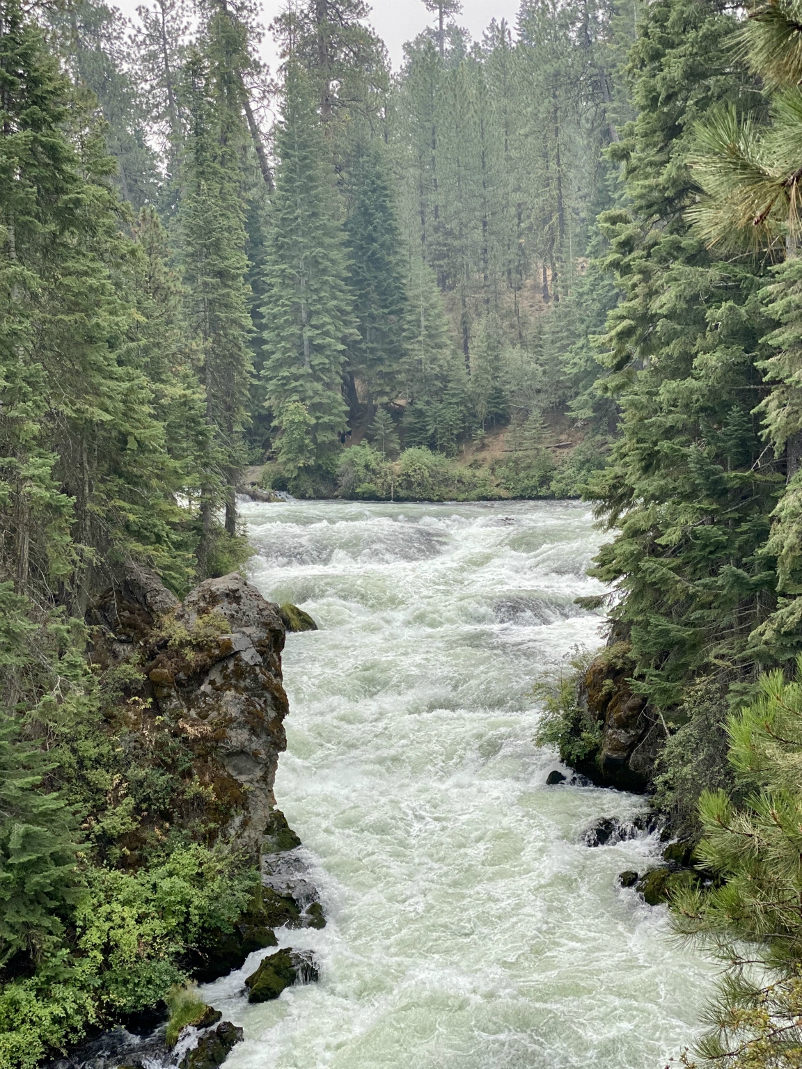 Benham Falls from the overlook